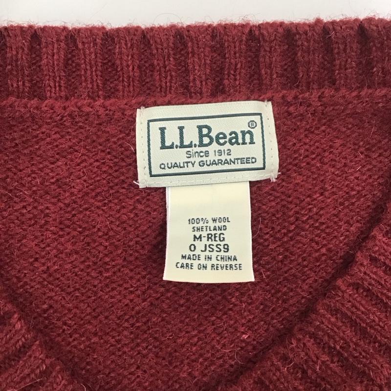 エルエルビーン L.L.Bean ニット、セーター 長袖 長袖ニットカットソー ニット セーター Vネックニット M 総柄 マルチカラー / マルチカラー /  メンズ USED 古着 中古 10111463