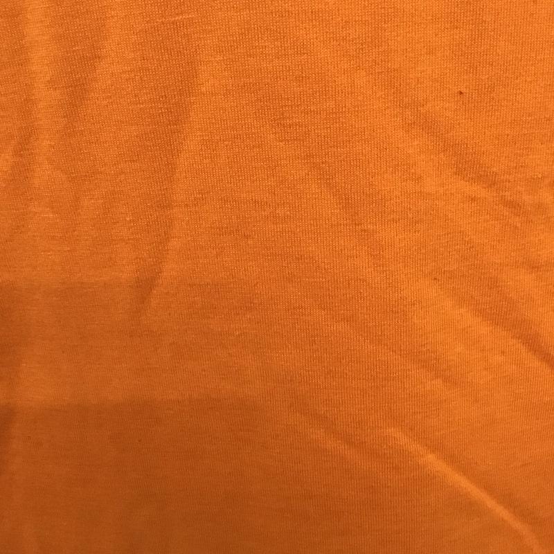 ザノースフェイス THE NORTH FACE Tシャツ 半袖 nt31781半袖カットソー プリントTシャツ L プリント 橙 / オレンジ /  メンズ USED 古着 中古 10115400
