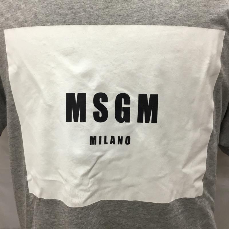 エムエスジーエム MSGM Tシャツ 半袖 半袖カットソー プリントTシャツ クルーネックカットソー S プリント 灰 / グレー /  メンズ USED 古着 中古 10116242