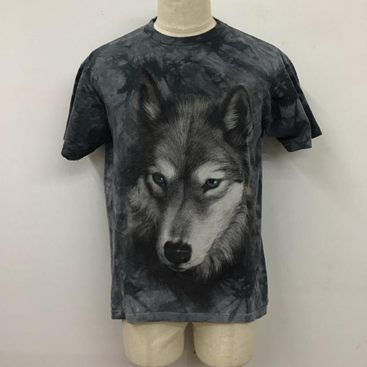 古着 USED Tシャツ 半袖 半袖カットソー プリントTシャツ クルーネックカットソー M プリント マルチカラー / マルチカラー /  メンズ USED 古着 中古 10117257