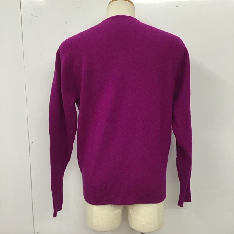 ポロバイラルフローレン Polo by RALPH LAUREN ニット、セーター 長袖 長袖ニットカットソー ニット セーター Vネックニット L ロゴ、文字 紫 / パープル /  メンズ USED 古着 中古 10120628