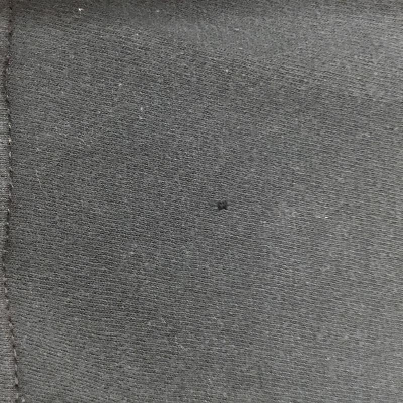 ギルダン GILDAN Tシャツ 半袖 SCORPIONS バンドTシャツ L ワンポイント 黒 / ブラック /  メンズ USED 古着 中古 10116112