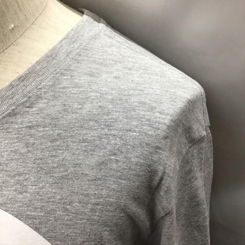 ザノースフェイス THE NORTH FACE Tシャツ 半袖 4001016466 プリント クルーネック L ロゴ、文字 灰 / グレー /  メンズ USED 古着 中古 10121222