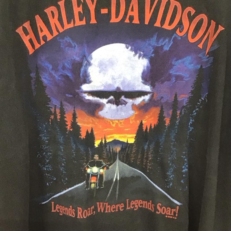 ハーレーダビッドソン Harley-Davidson Tシャツ 半袖 半袖カットソー プリントTシャツ クルーネックカットソー L プリント 黒 / ブラック /  メンズ USED 古着 中古 10129232