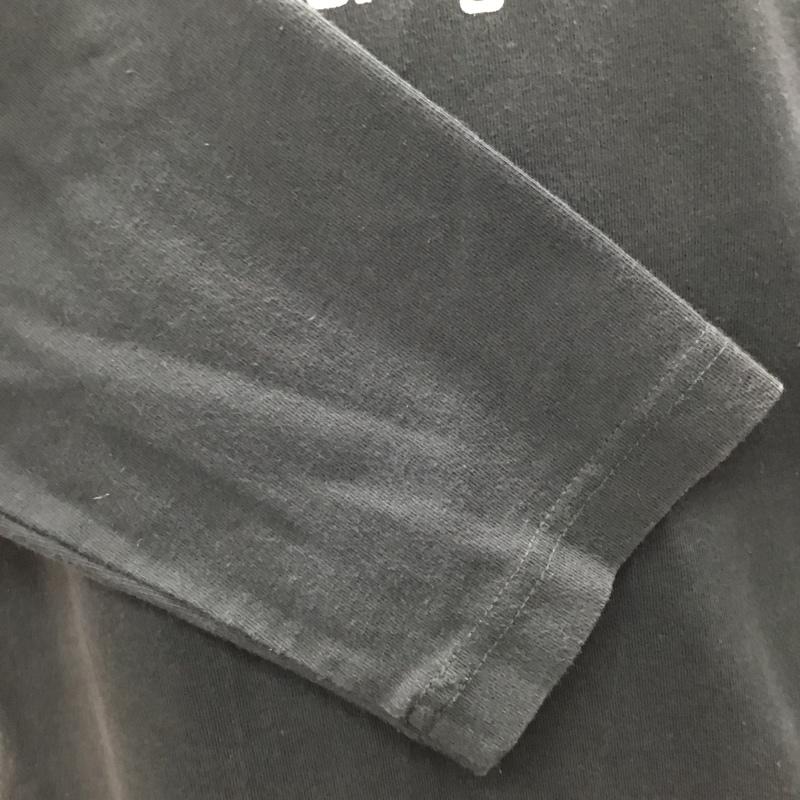 ザノースフェイス THE NORTH FACE カットソー 長袖 NT34015X EARTHLOGOLSTEE アースロゴロングスリーブTシャツ 長袖カットソー プリントTシャツ XL ロゴ、文字 黒 / ブラック /  メンズ USED 古着 中古 10116689