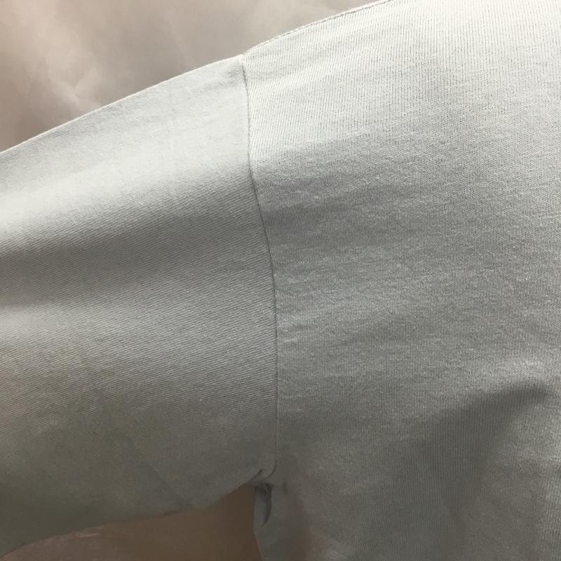 ペンドルトン PENDLETON Tシャツ 半袖 0275-0215 VINTAGE POSTER アートプリント ビックシルエット タグ付き M プリント 水色 / ライトブルー /  メンズ USED 古着 中古 10114822