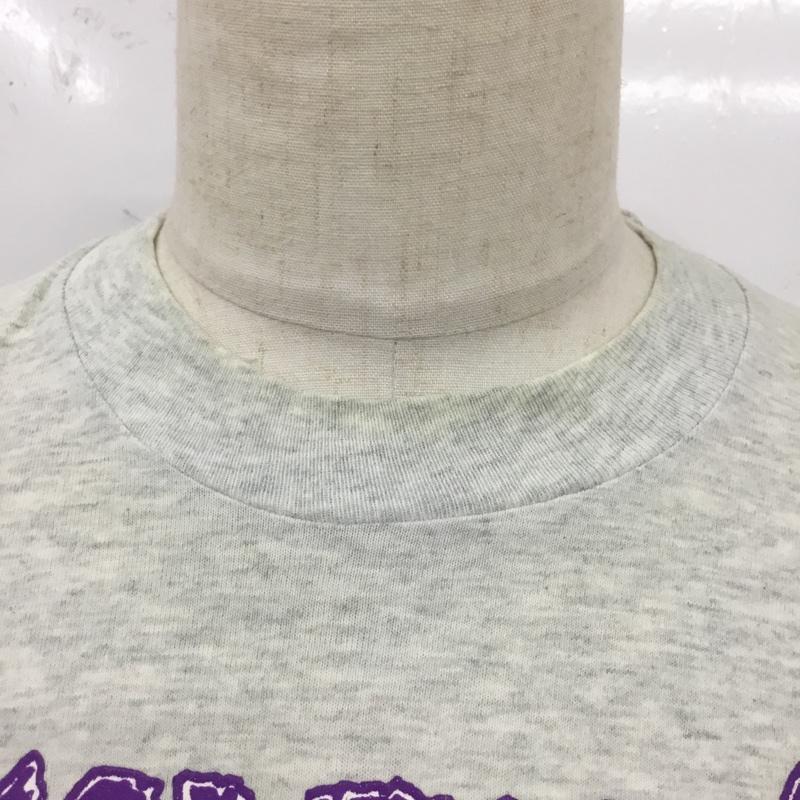 フルーツオブザルーム FRUIT OF THE LOOM Tシャツ 半袖 DEMOLITION23 バンドTシャツ L プリント 灰 / グレー /  メンズ USED 古着 中古 10119851