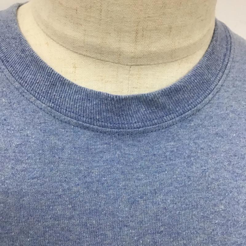 パタゴニア patagonia Tシャツ 半袖 半袖カットソー プリントTシャツ クルーネックカットソー M ロゴ、文字 水色 / ライトブルー /  メンズ USED 古着 中古 10124052