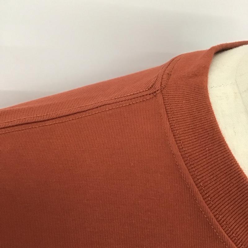 ナイキ エィシージー NIKE ACG Tシャツ 半袖 dj1143-670 Tシャツ 半袖カットソー プリントTシャツ XL ロゴ、文字 茶 / ブラウン /  メンズ USED 古着 中古 10126531