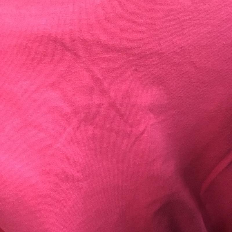 ヘインズ HANES Tシャツ 半袖 半袖カットソー プリントTシャツ クルーネックカットソー M ロゴ、文字 桃 / ピンク /  メンズ USED 古着 中古 10139550