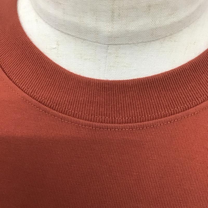 ナイキ エィシージー NIKE ACG Tシャツ 半袖 dj1143-670 Tシャツ 半袖カットソー プリントTシャツ XL ロゴ、文字 茶 / ブラウン /  メンズ USED 古着 中古 10126531