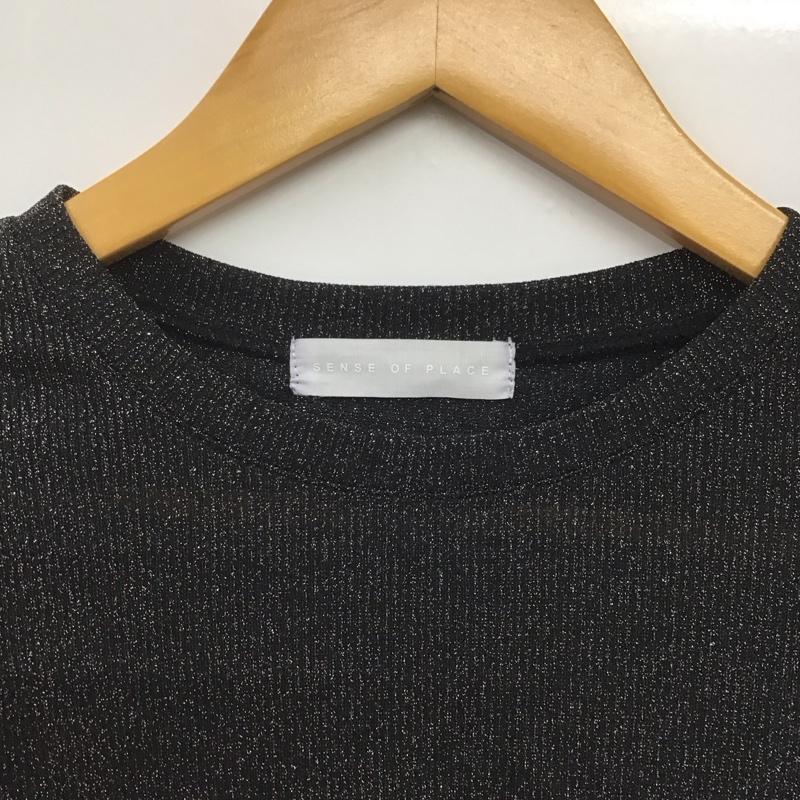 センスオブプレイスバイアーバンリサーチ SENSE OF PLACE by URBAN RESEARCH カットソー 長袖 ONE SIZE 無地 黒 / ブラック /  レディース USED 古着 中古 10144582