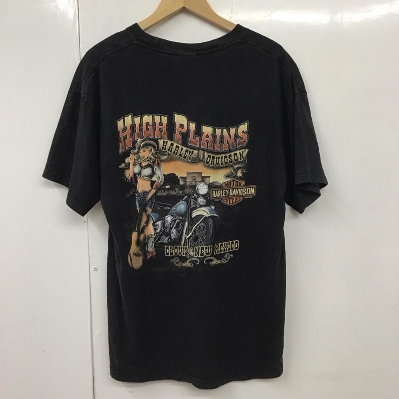 ハーレーダビッドソン Harley-Davidson Tシャツ 半袖 プリント 黒 / ブラック /  メンズ USED 古着 中古 10129994