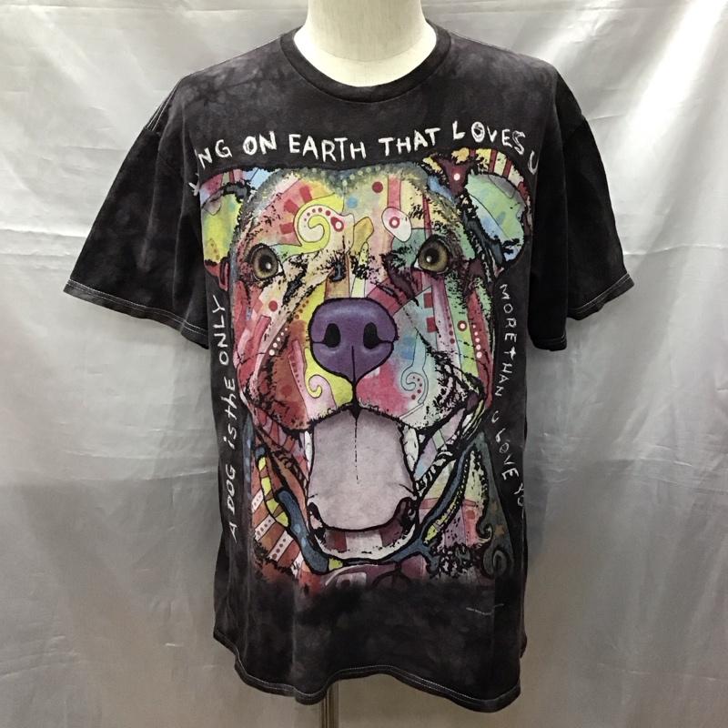 古着 USED Tシャツ 半袖 半袖カットソー プリントTシャツ クルーネックカットソー ディーン・ルッソ L プリント マルチカラー / マルチカラー /  メンズ USED 古着 中古 10117460