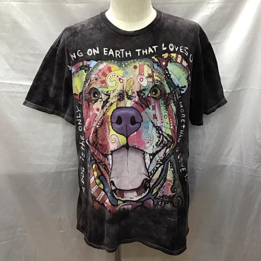 古着 USED Tシャツ 半袖 半袖カットソー プリントTシャツ クルーネックカットソー ディーン・ルッソ L プリント マルチカラー / マルチカラー /  メンズ USED 古着 中古 10117460