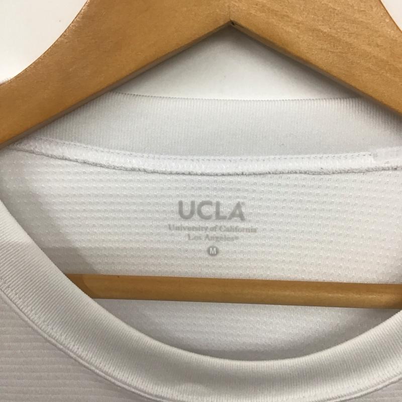 チャンピオン Campion Tシャツ 半袖 M 無地 白 / ホワイト /  メンズ USED 古着 中古 10134964