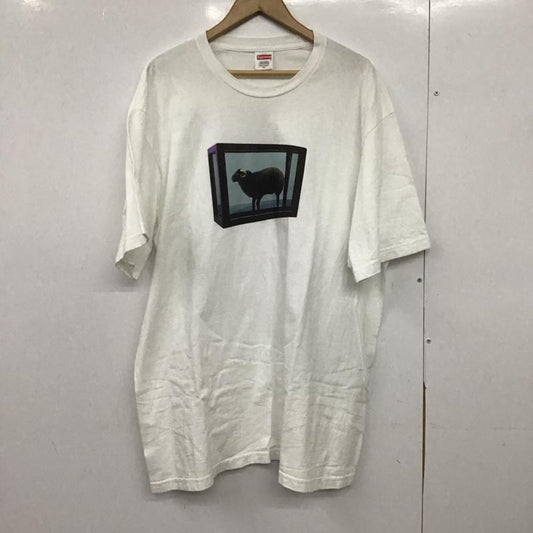 シュプリーム Supreme Tシャツ 半袖 2025SS DamienHirstTEE プリントTシャツ XL プリント 白 / ホワイト /  メンズ USED 古着 中古 10147265