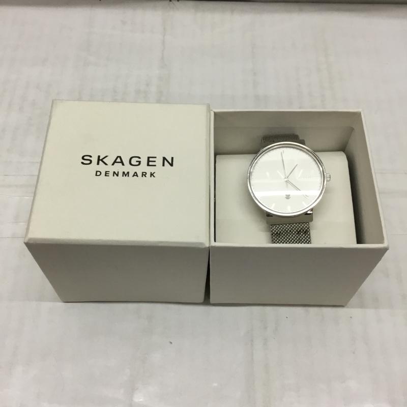 スカーゲン SKAGEN 腕時計 アナログ（クォーツ式） SKAGEN6290 箱有 ロゴ、文字 銀 / シルバー /  メンズ USED 古着 中古 10117152
