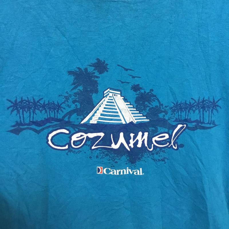 古着 USED Tシャツ 半袖 クルーネック プリント coamel プリント 水色 / ライトブルー /  メンズ USED 古着 中古 10061766