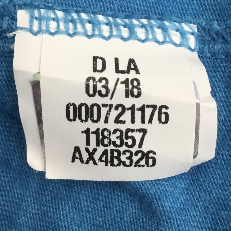 ザノースフェイス THE NORTH FACE Tシャツ 半袖 XL ロゴ、文字 水色 / ライトブルー /  メンズ USED 古着 中古 10071361
