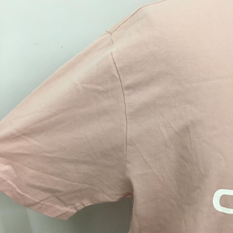 カーハート Carhartt Tシャツ 半袖 半袖カットソー プリントTシャツ L プリント 桃 / ピンク /  メンズ USED 古着 中古 10093752