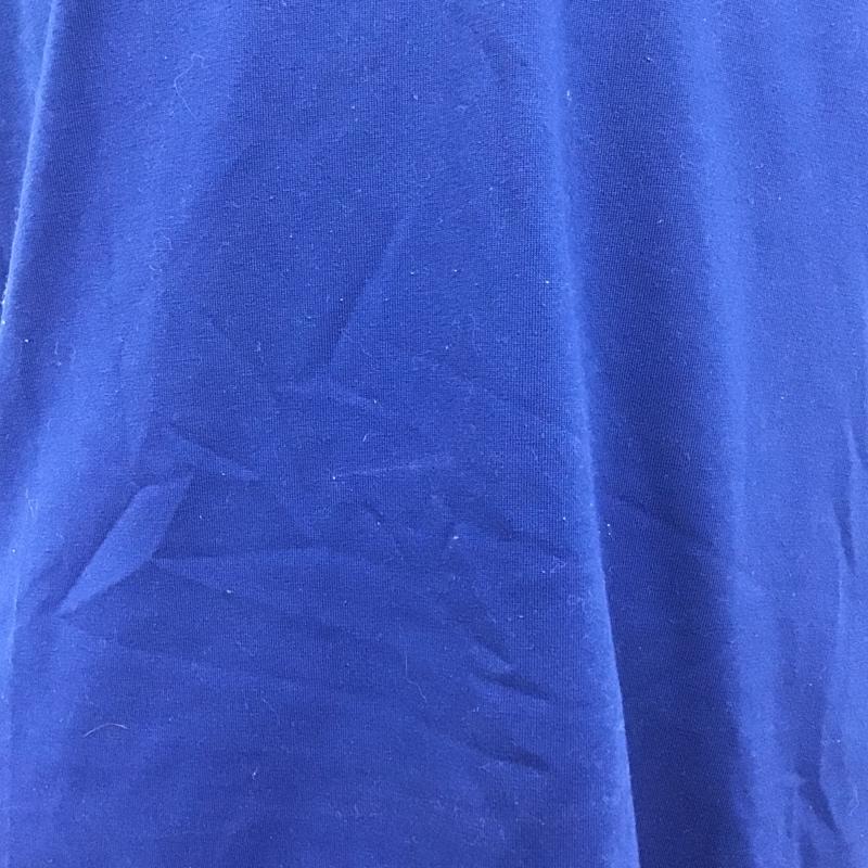 ザノースフェイス THE NORTH FACE Tシャツ 半袖 NT31474 リンガーTシャツ M ロゴ、文字 青 / ブルー / X 白 / ホワイト /  メンズ USED 古着 中古 10097091