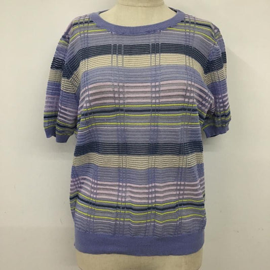 ザラニット ZARA KNIT ニット、セーター 半袖 サマーニット シアー L ボーダー柄 紫 / パープル / X 紺 / ネイビー / X 黄 / イエロー / X 桃 / ピンク /  レディース USED 古着 中古 10098392