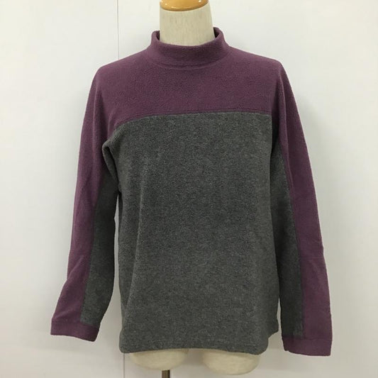 ザノースフェイス THE NORTH FACE トレーナー 長袖 NL45009 フリース プルオーバー モックネック バイカラー S ロゴ、文字 灰 / グレー / X 紫 / パープル /  メンズ USED 古着 中古 10101529