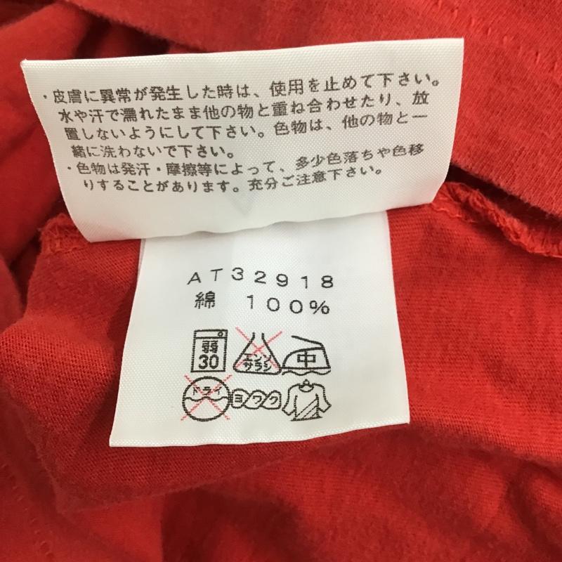 ザノースフェイス THE NORTH FACE Tシャツ 半袖 AT32918 Graphic Tee 茶タグ M ロゴ、文字 赤 / レッド / X 黒 / ブラック /  メンズ USED 古着 中古 10101709
