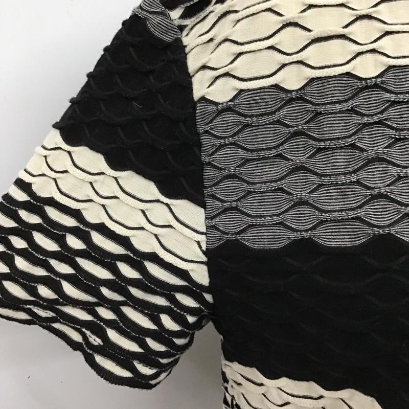 ザラ ZARA カットソー 半袖 L  マルチカラー / マルチカラー /  レディース USED 古着 中古 10102806