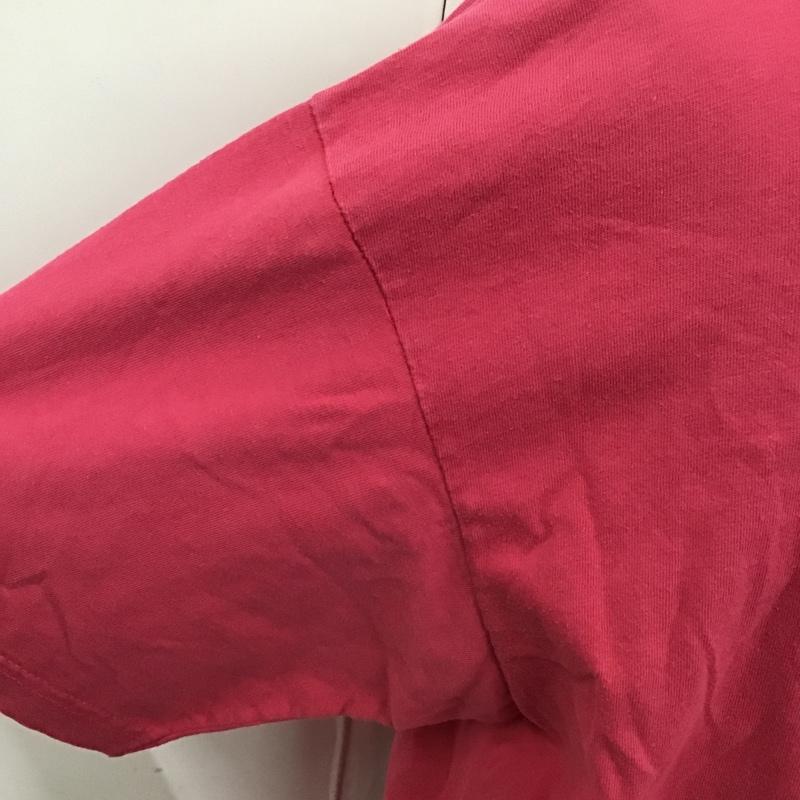 パタゴニア patagonia Tシャツ 半袖 90s 絶滅危惧種 バックプリント 動物 クルーネック XL プリント 桃 / ピンク /  メンズ USED 古着 中古 10103955