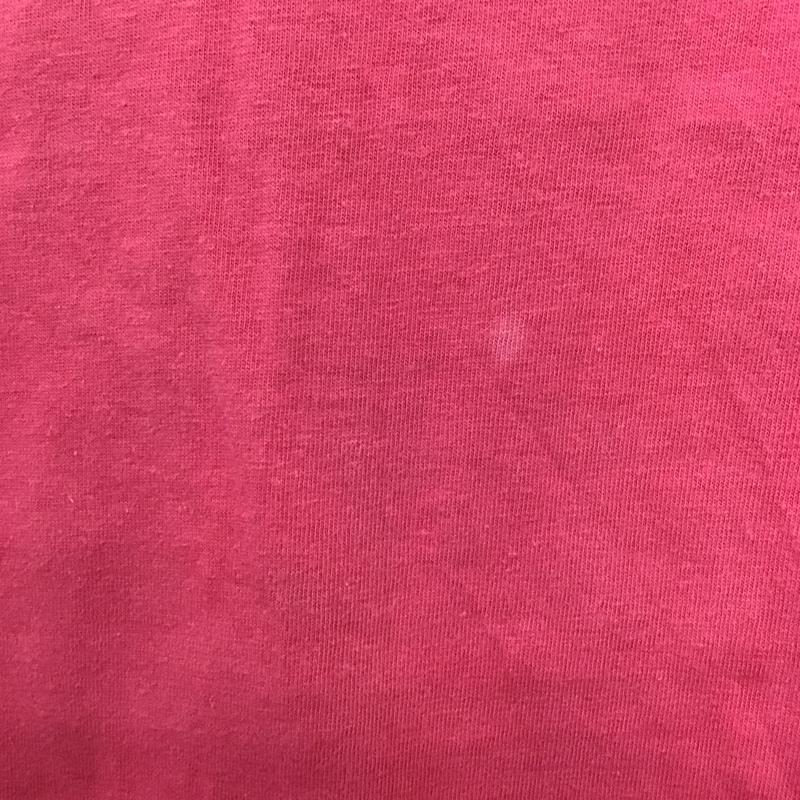 パタゴニア patagonia Tシャツ 半袖 90s 絶滅危惧種 バックプリント 動物 クルーネック XL プリント 桃 / ピンク /  メンズ USED 古着 中古 10103955