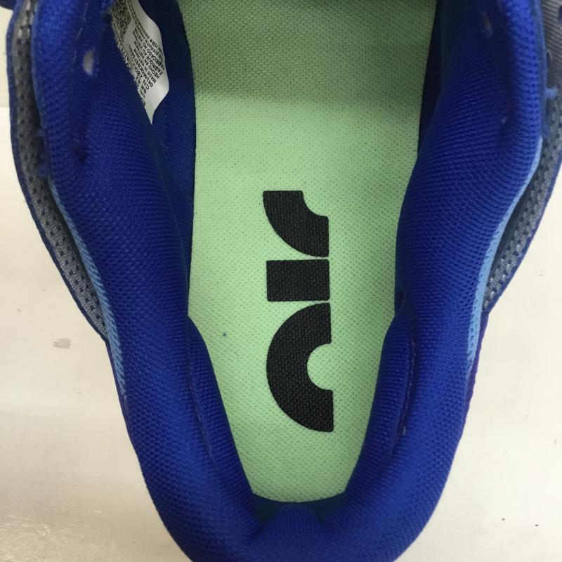 ナイキ NIKE スニーカー スニーカー AIR DUNK JUMBO エア ダンク ジャンボ DV0821-400 28.0cm ロゴ、文字 青 / ブルー /  メンズ USED 古着 中古 10104236